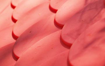 Holland Lees plastic roof costs