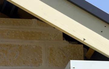 soffit repair Holland Lees